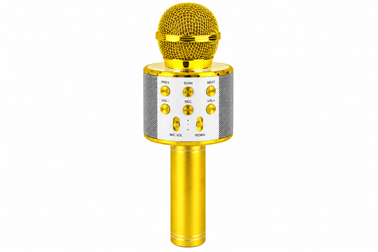 میکروفون اسپیکر بلوتوثی کارائوکه WS-858